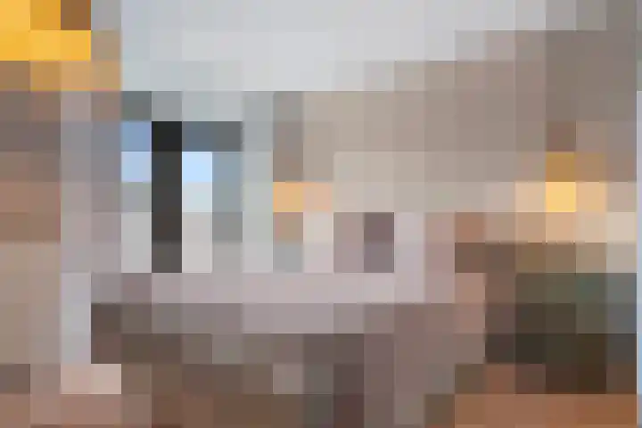 Doornboshoeve 2 Bennekom thumbnail 40