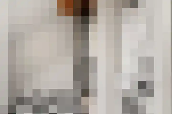 Doornboshoeve 2 Bennekom thumbnail 46