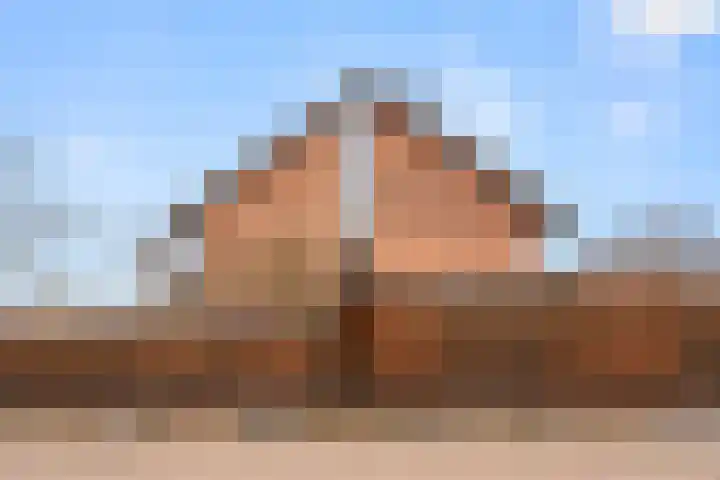 Doornboshoeve 2 Bennekom thumbnail 6