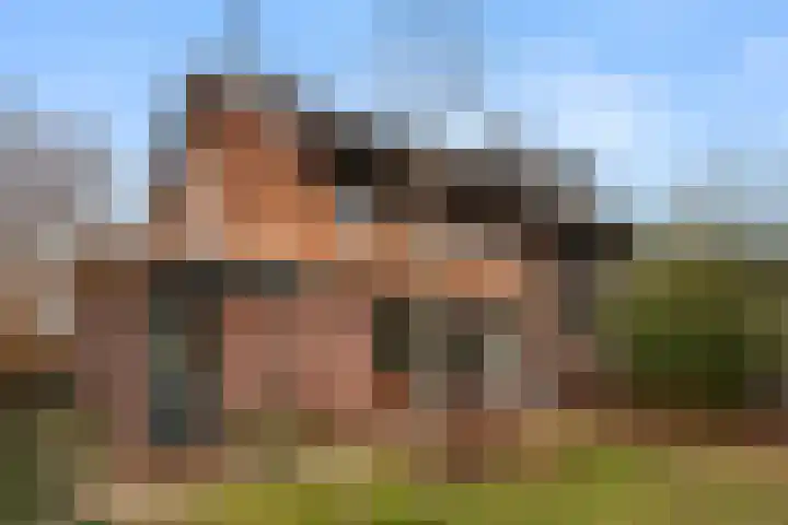 Doornboshoeve 2 Bennekom thumbnail 7