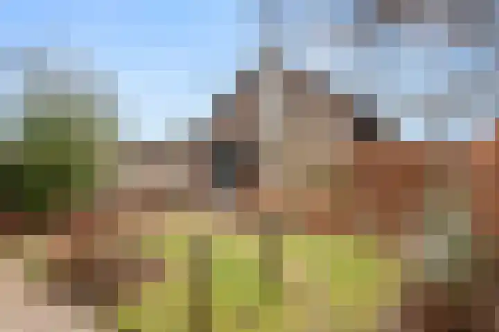 Doornboshoeve 2 Bennekom thumbnail 8