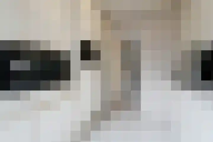 Doornboslaan 110 Breda thumbnail 11
