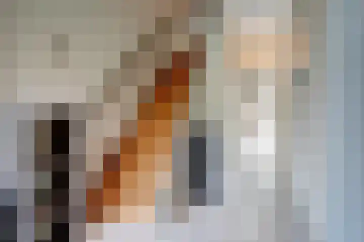 Doornboslaan 110 Breda thumbnail 13