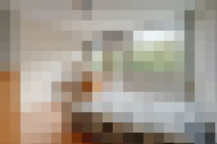 Doornboslaan 110 Breda thumbnail 17