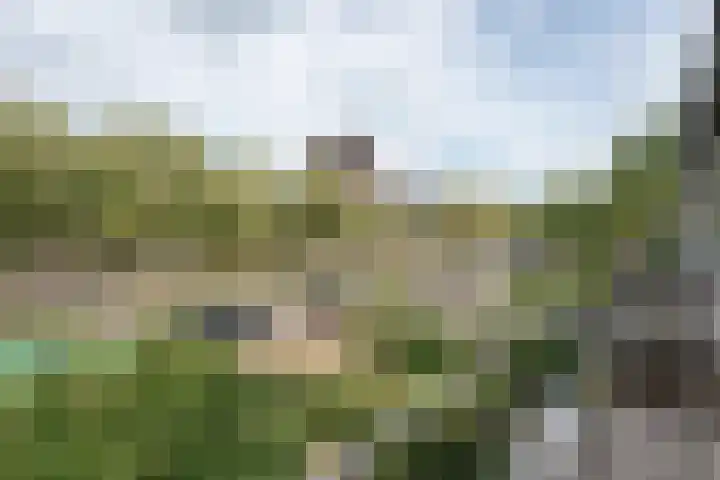 Doornboslaan 110 Breda thumbnail 19