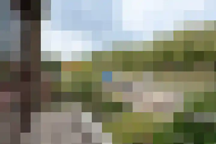 Doornboslaan 110 Breda thumbnail 20