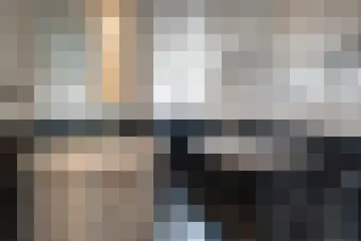 Doornboslaan 110 Breda thumbnail 27
