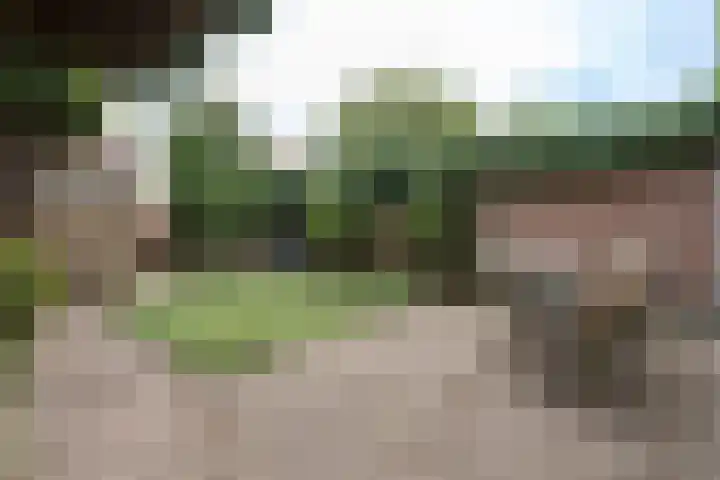 Doornboslaan 110 Breda thumbnail 31