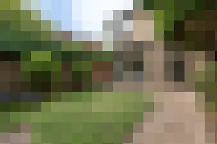 Doornboslaan 110 Breda thumbnail 32