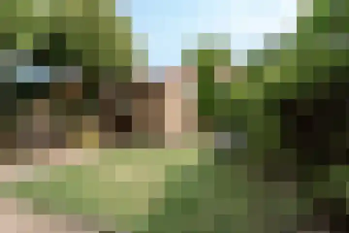 Doornboslaan 110 Breda thumbnail 33