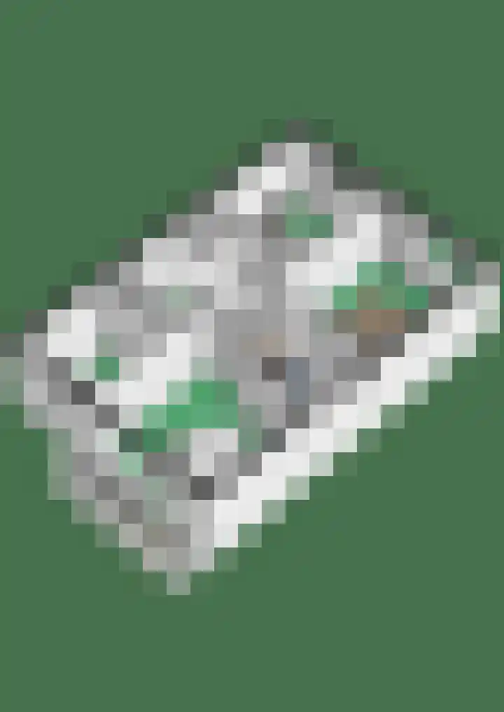 Doornboslaan 110 Breda thumbnail 39