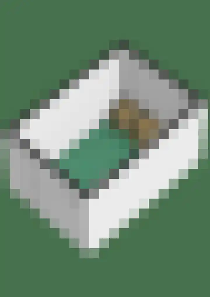 Doornboslaan 110 Breda thumbnail 43