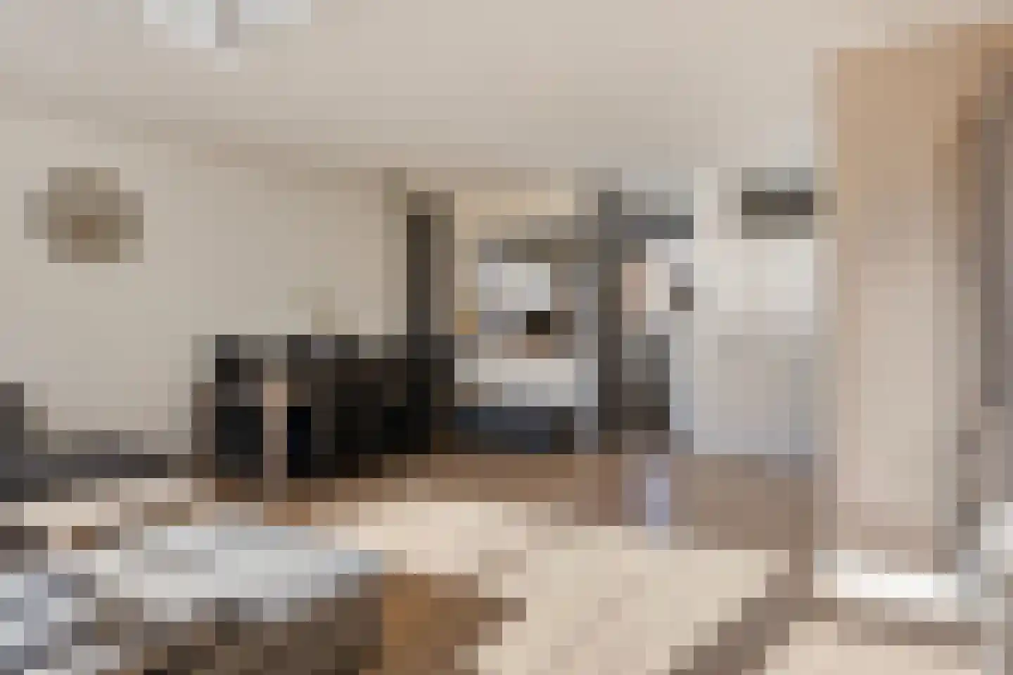 Doornburg 10 Eindhoven thumbnail 12