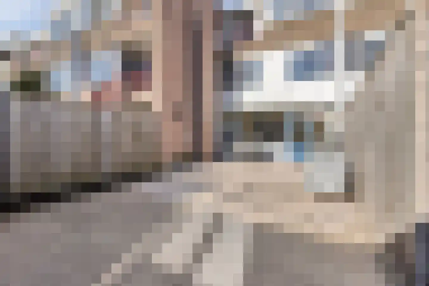 Doornburg 10 Eindhoven thumbnail 21