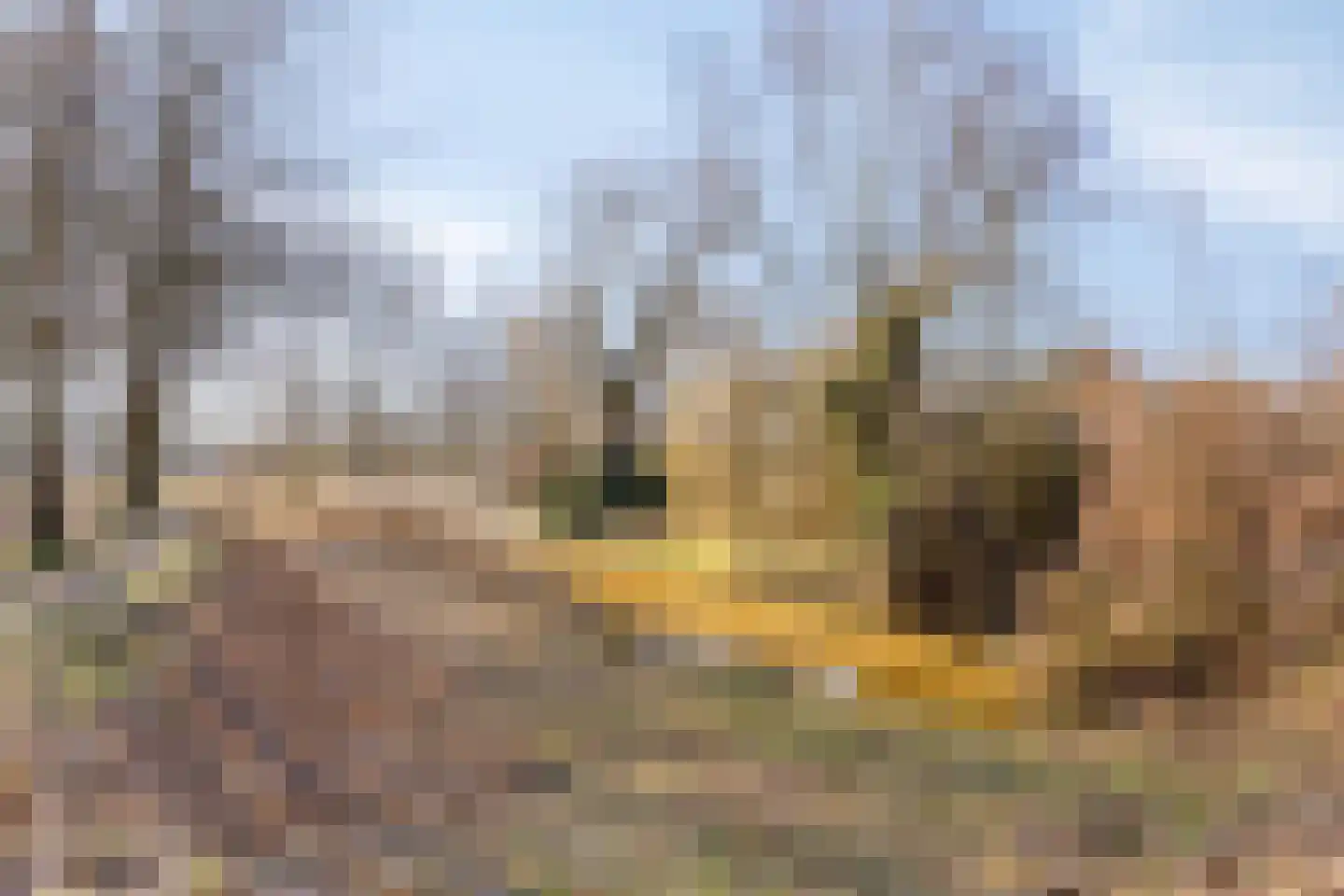 Doornburg 10 Eindhoven thumbnail 25