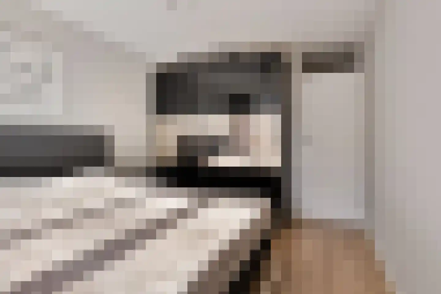 Doornburg 10 Eindhoven thumbnail 27