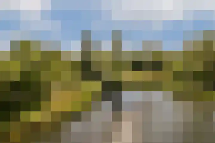 Doornburg 115 Amsterdam thumbnail 12
