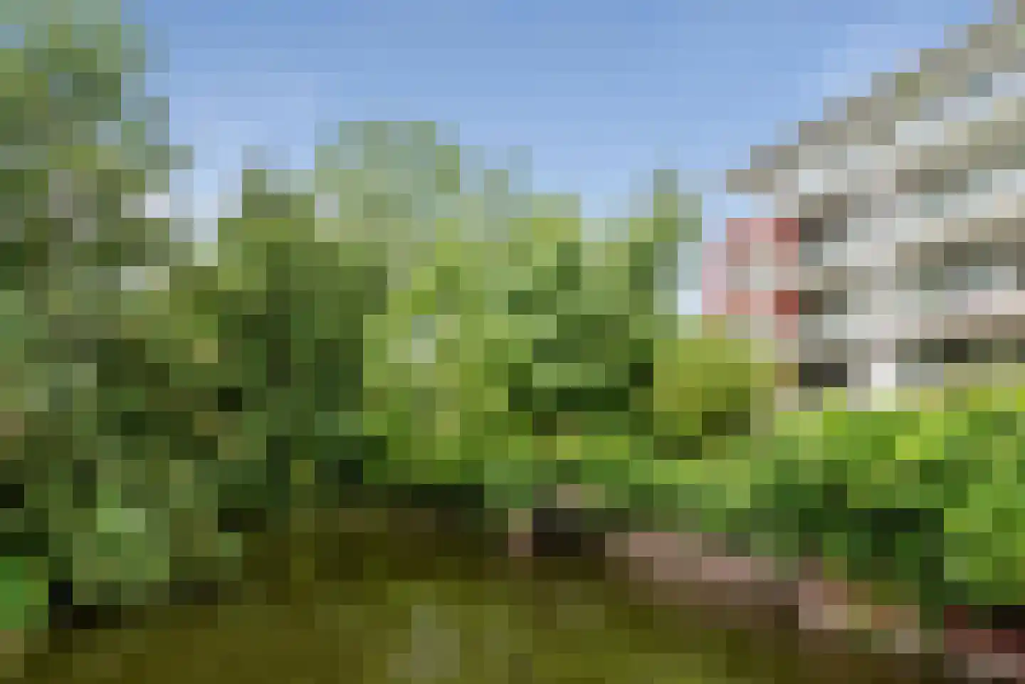 Doornburg 161 Amsterdam thumbnail 23