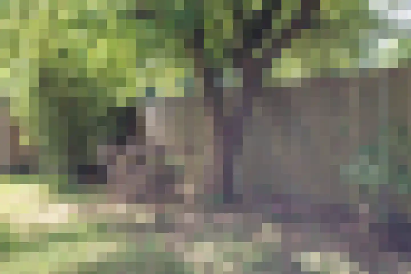 Doornburg 2 Eindhoven thumbnail 35