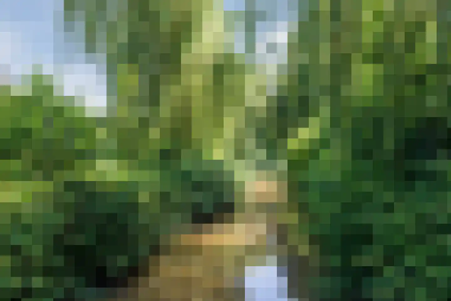 Doornburg 2 Eindhoven thumbnail 39