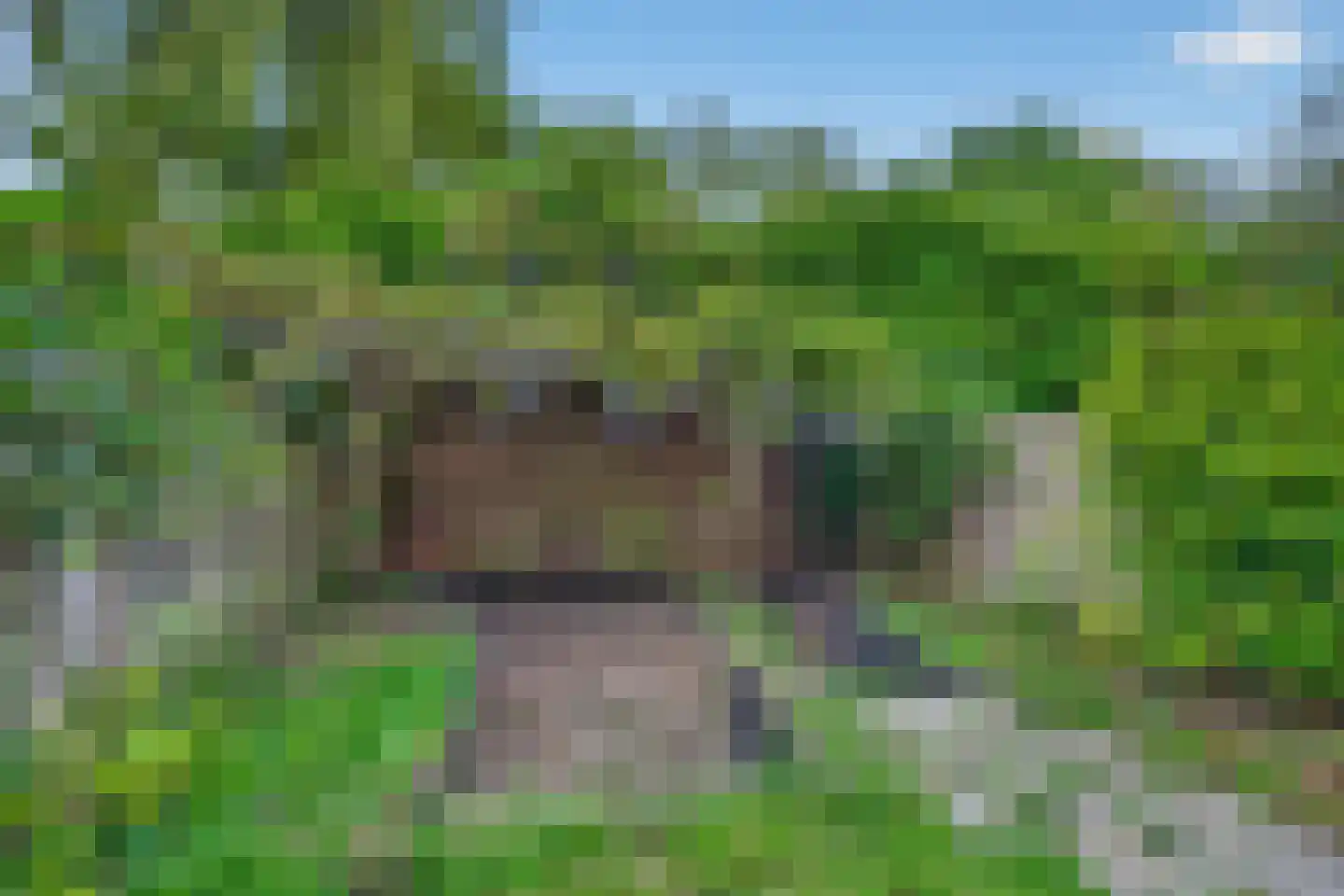 Doornburg 24 Eindhoven thumbnail 15