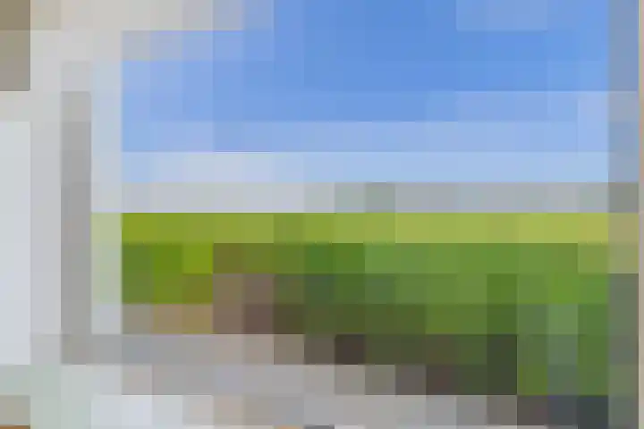 Doorndijk 3 Walsoorden thumbnail 18