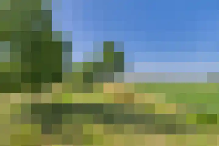Doorndijk 3 Walsoorden thumbnail 19
