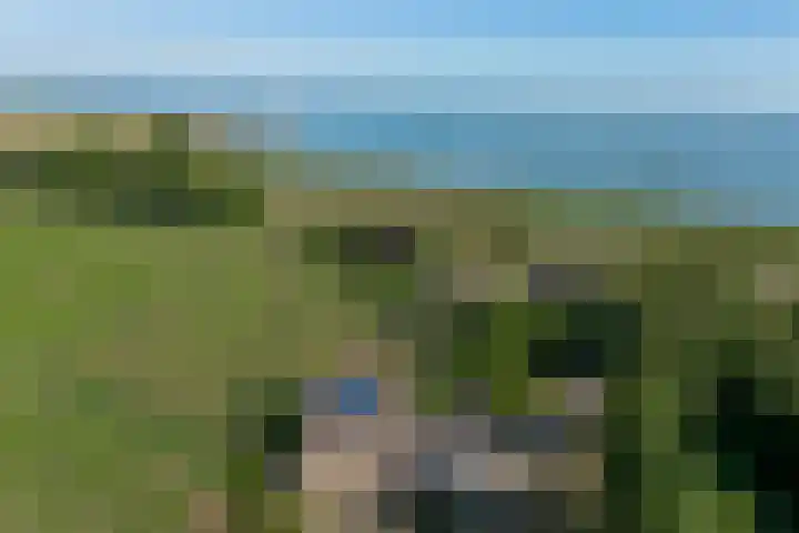 Doorndijk 3 Walsoorden thumbnail 21