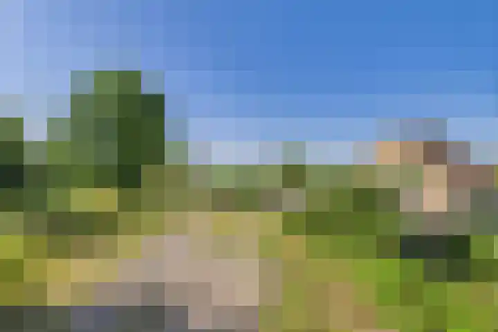 Doorndijk 3 Walsoorden thumbnail 23