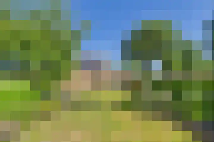 Doorndijk 3 Walsoorden thumbnail 24