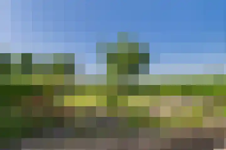 Doorndijk 3 Walsoorden thumbnail 25
