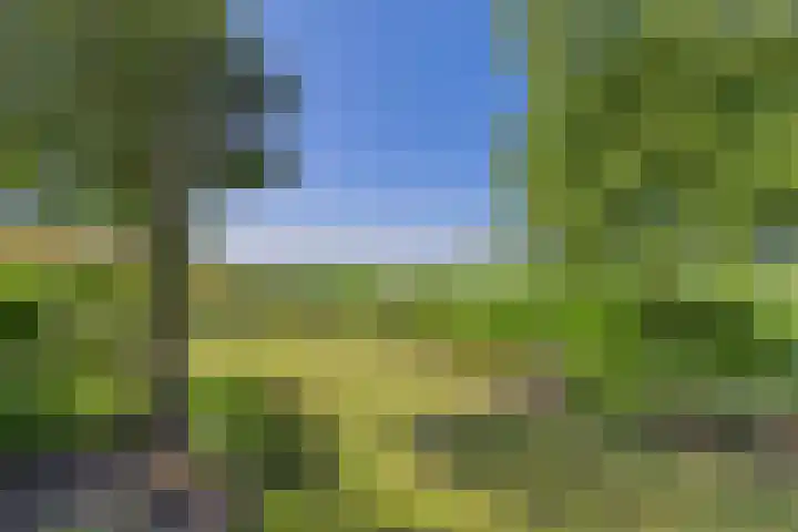 Doorndijk 3 Walsoorden thumbnail 27