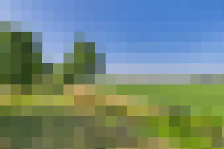 Doorndijk 3 Walsoorden thumbnail 5