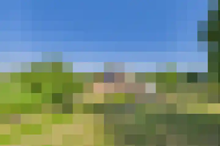 Doorndijk 3 Walsoorden thumbnail 6