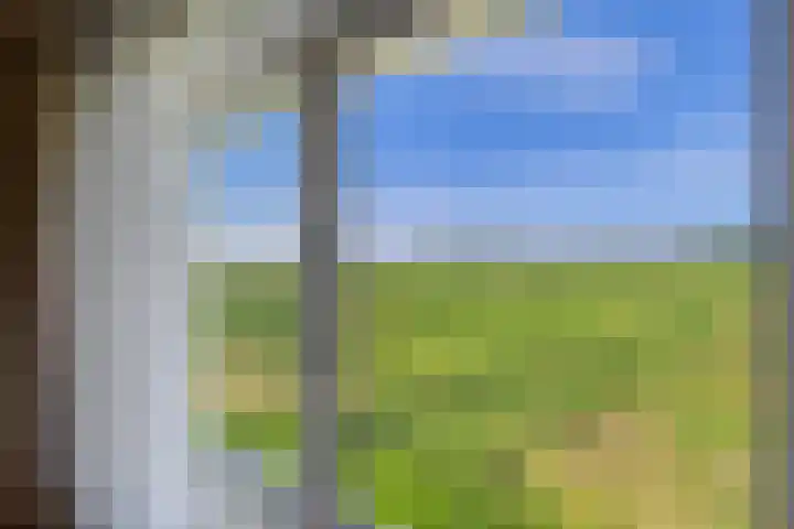 Doorndijk 3 Walsoorden thumbnail 9