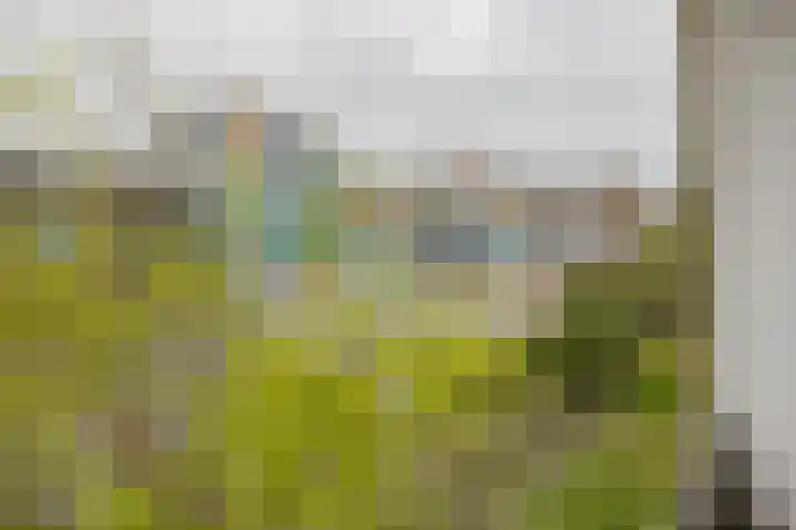 Doorneberglaan 134 IJmuiden thumbnail 25