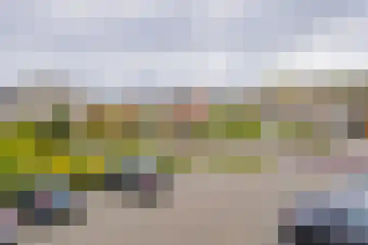 Doorneberglaan 134 IJmuiden thumbnail 27