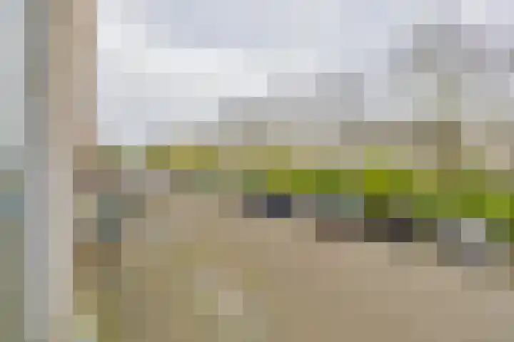 Doorneberglaan 134 IJmuiden thumbnail 28