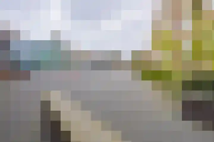 Doorneberglaan 134 IJmuiden thumbnail 4