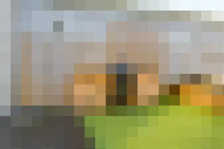 Doorneberglaan 265 IJmuiden thumbnail 43