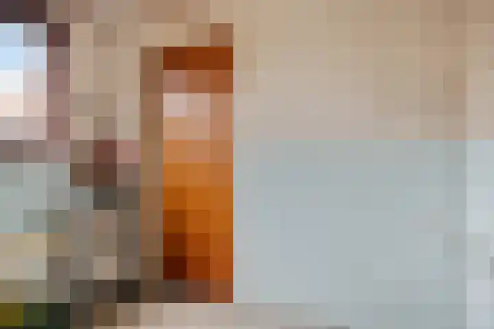 Doornedijkje 56 Steenbergen thumbnail 18
