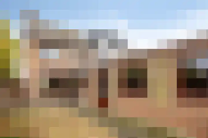 Doornedijkje 56 Steenbergen thumbnail 6