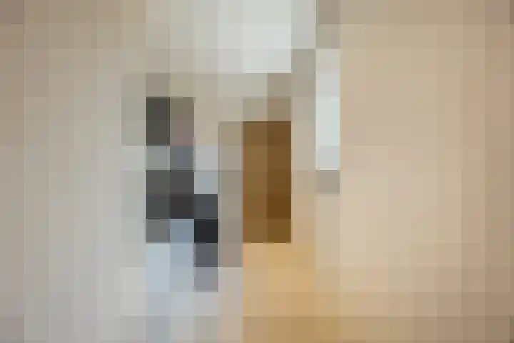 Doorneindstraat 10 A Oss thumbnail 18
