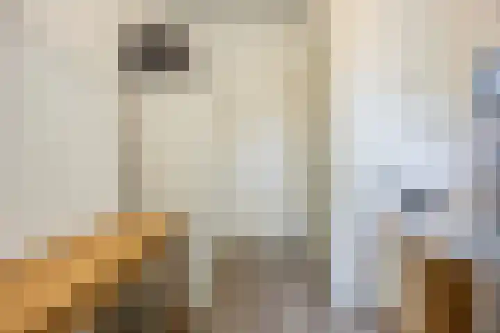 Doorneindstraat 10 A Oss thumbnail 53