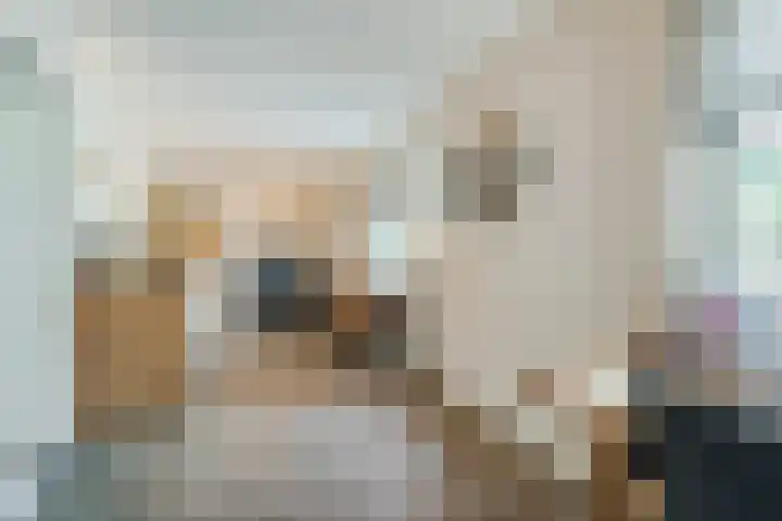 Doornekamp 22 Harderwijk thumbnail 10