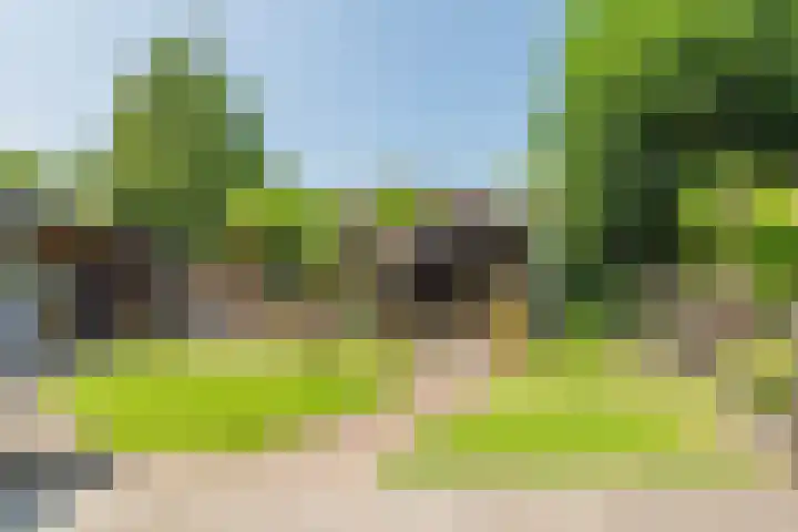 Doornekamp 22 Harderwijk thumbnail 39