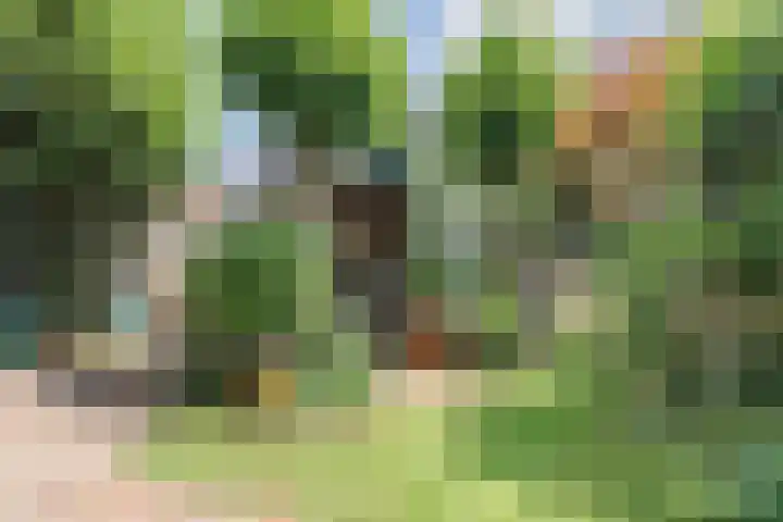 Doornekamp 22 Harderwijk thumbnail 42