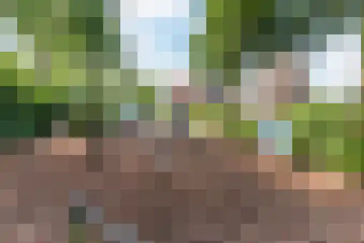 Doornekamp 22 Harderwijk thumbnail 45