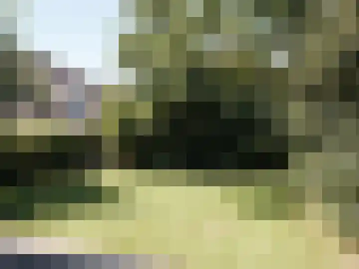 Doornekamp 24 Harderwijk thumbnail 27