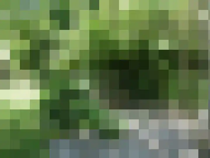 Doornekamp 24 Harderwijk thumbnail 29